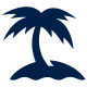 Palm Tree Graphic Icon