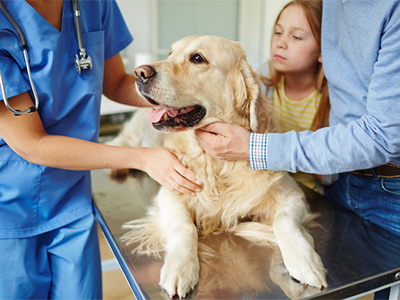 Family with dog at the veteranarian's office.